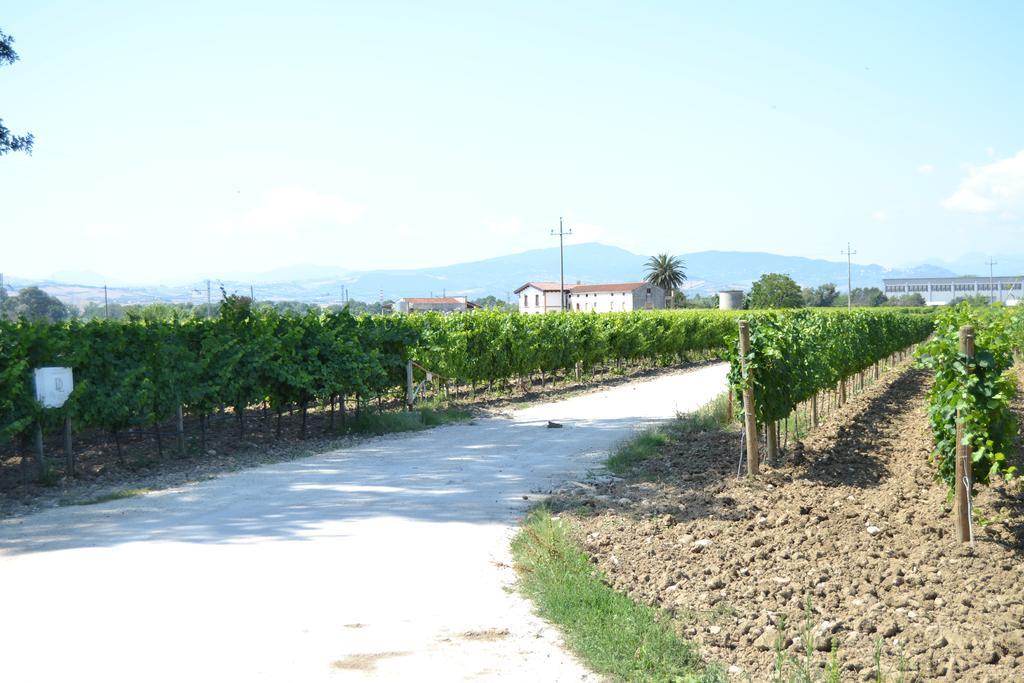 Agriturismo De Luca Mozzagrogna エクステリア 写真