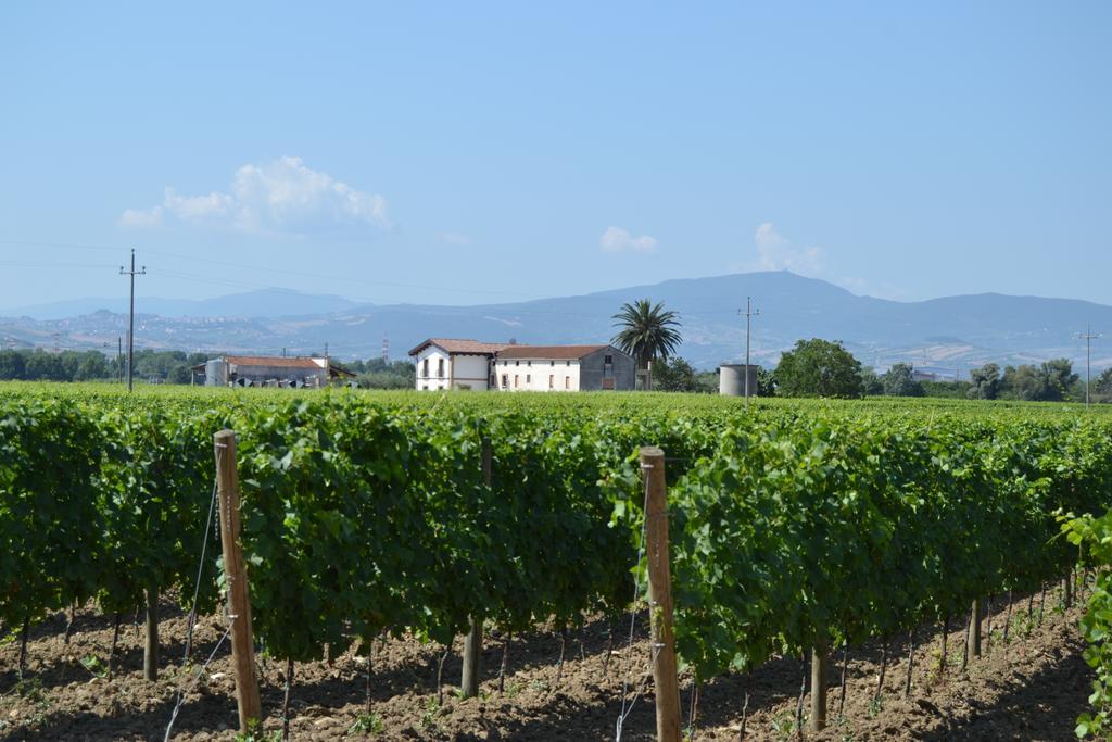 Agriturismo De Luca Mozzagrogna エクステリア 写真